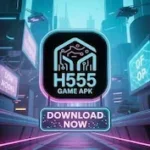 H555 Game