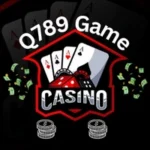 Q789 Game