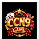 CN9 Game